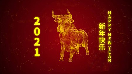 西迪技(jì )術股份有(yǒu)限公(gōng)司20201年春節放假通知